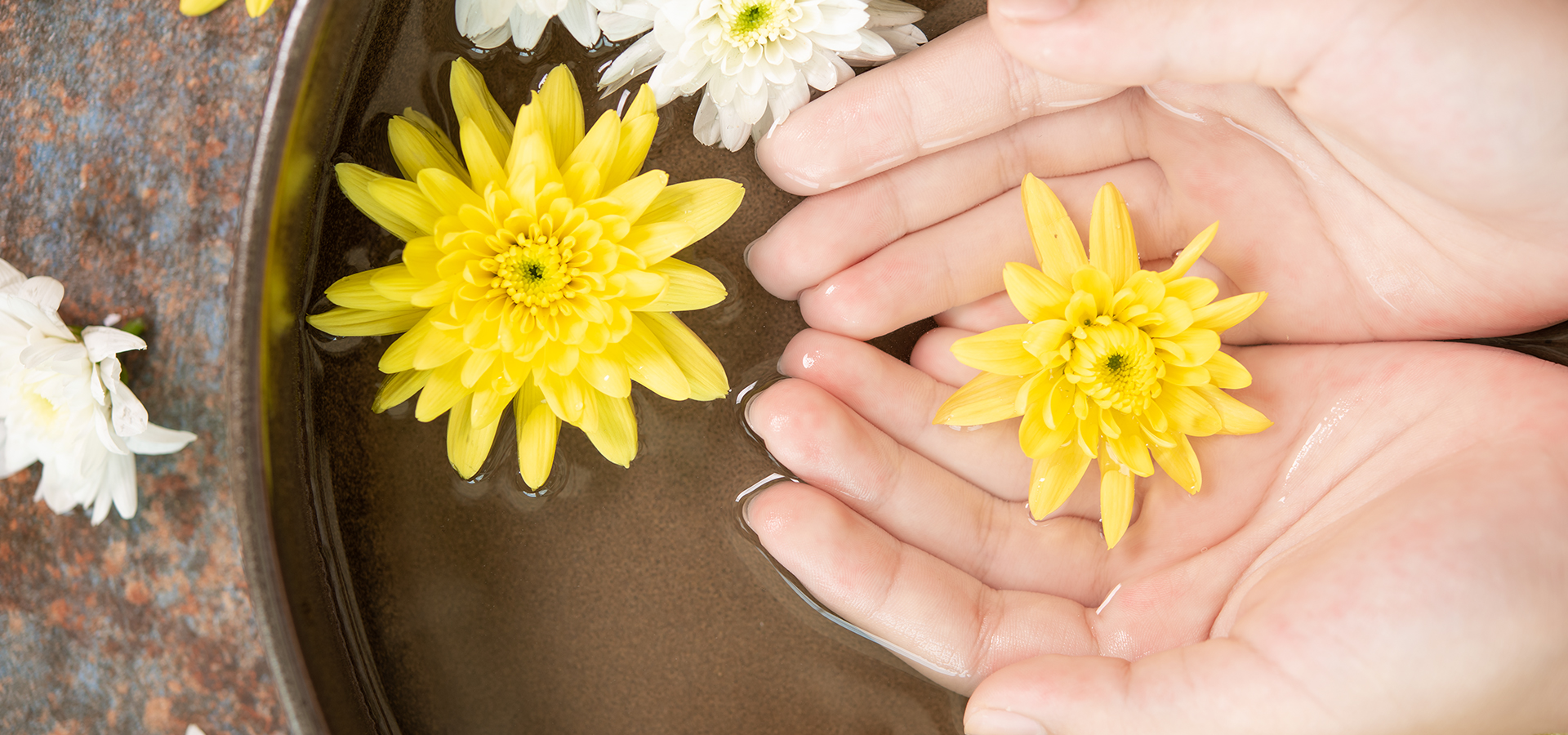 Calmia～カルミア～